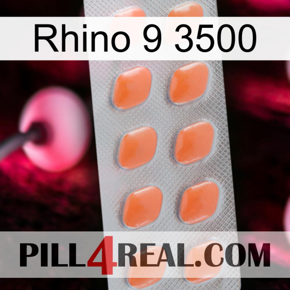 Rhino 9 3500 26.jpg